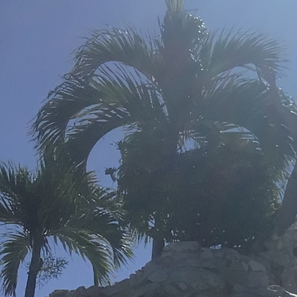 Meet your Posher, Cas - Picture 2 of 4